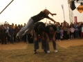 Great Performers of Parkour